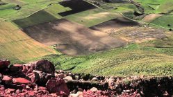 Casa Vinicola Calatrasi | Storie di vini