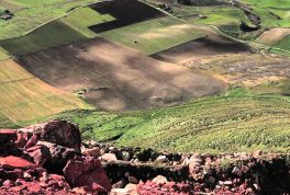 Casa Vinicola Calatrasi | Storie di vini