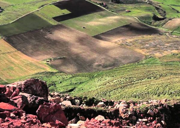 Casa Vinicola Calatrasi | Storie di vini