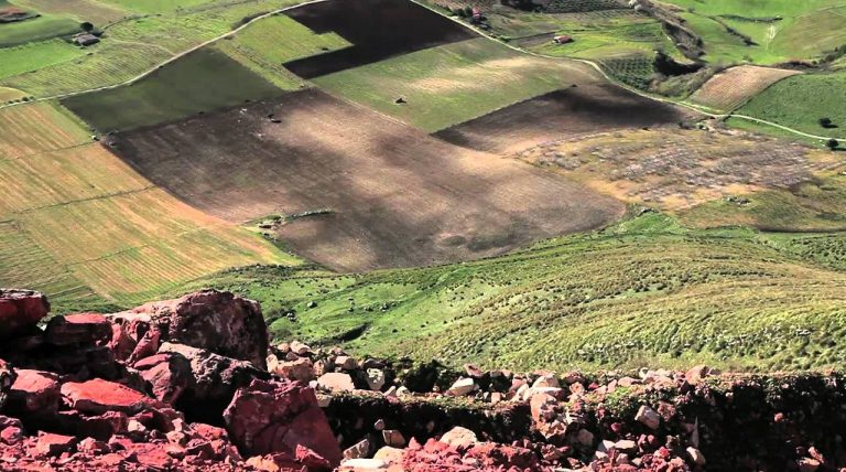 Casa Vinicola Calatrasi | Storie di vini